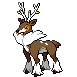Sawsbuck, Forma Invierno