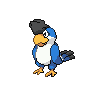 Squawkabilly, Plumaje Azul