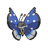 Vivillon, Motivo Taiga