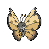 Vivillon, Motivo Desierto
