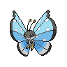 Vivillon, Motivo Tundra