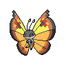 Vivillon, Motivo Continental