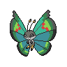 Vivillon, Motivo Vergel