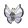 Vivillon, Motivo Polar