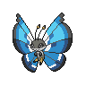 Vivillon, Motivo Marino
